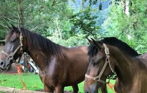 Santa Isabel Mountain Lodge - San Ramon, Nicaragua