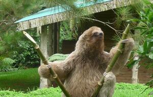 Santa Isabel Mountain Lodge - San Ramon, Nicaragua