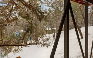 Wolf Haven Big Bear - Big Bear City, California