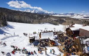 Cozy Mountain Retreat in Telluride - Telluride, Colorado