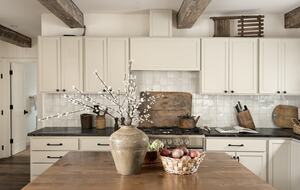 Aspen/Snowmass Streamside Sanctuary - Snowmass, Colorado