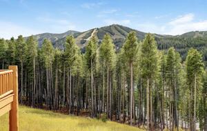 Lakota Luxury Rocky Mountain Ski Chalet - Winter Park, Colorado