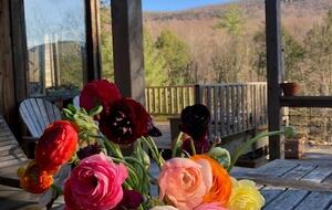 Woodstock Zen Getaway - Mt Tremper, New York