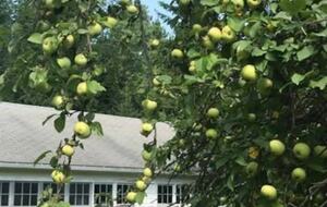 Fish Creek Farmhouse - Fish Creek, Wisconsin