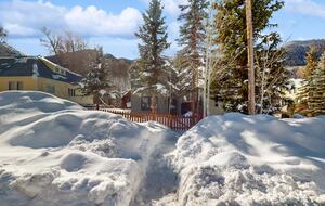 Telluride Mountainside Luxury - Telluride, Colorado