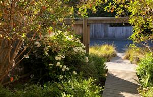 Sea Ranch Moonraker - The Sea Ranch, California