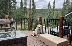 Large Log Home on a Private Acre with a Pond - Breckenridge, Colorado