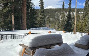 Large Log Home on a Private Acre with a Pond - Breckenridge, Colorado