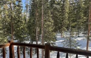 Large Log Home on a Private Acre with a Pond - Breckenridge, Colorado