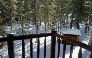 Large Log Home on a Private Acre with a Pond - Breckenridge, Colorado