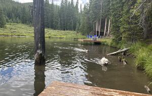Large Log Home on a Private Acre with a Pond - Breckenridge, Colorado