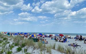 Charming Ocean City Cottage - Ocean City, New Jersey