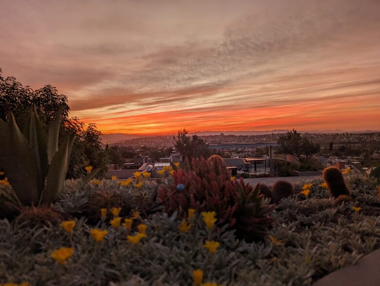 Contemporary Elegance in the Heart of San Miguel - San Miguel de Allende, Mexico