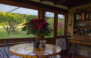 Re-energizing Retreat | Rancho del Agustin - Valle de Bravo, Mexico