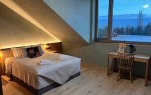 LedowoHouse Industrial Style with own Golf Course and Pool - Ledowo, Poland