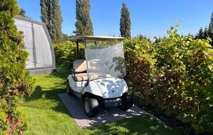 LedowoHouse Industrial Style with own Golf Course and Pool - Ledowo, Poland