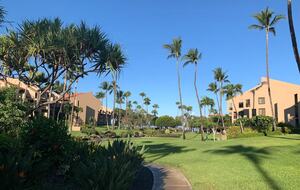 Kihei Maui Tropical Getaway - Kihei, Hawaii