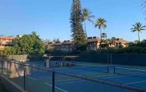 Tennis and Pickleball courts