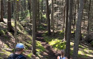 Modern Cottage on a Wooded Lot with Beach Access - New Harbor, Maine