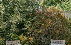 The Mazant: Historic, Renovated Mansion in Bywater - New Orleans, Louisiana