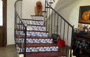 Finca Villa Rosales - Medellin, Colombia