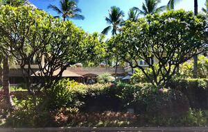 Wailea Beach Villas - Wailea, Hawaii