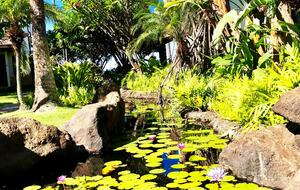 Wailea Beach Villas - Wailea, Hawaii