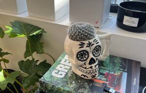 Lush Midcentury Home | As seen on HBO’s Sweet Life - Los Angeles, California