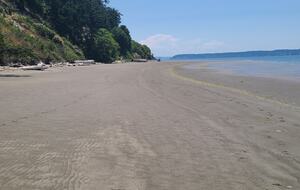 Modern Cabin by the Sea - Camano Island, Washington