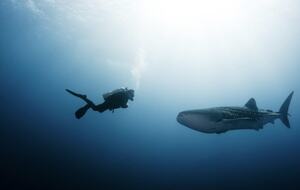 The Montecristo Estates - Three Bedroom Villa - Cabo San Lucas, Mexico