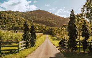 Alamanda Cottage - Craiglie, Port Douglas, Australia