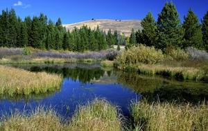 The Hemingways - 4 Bedroom Residence - Sun Valley, Idaho