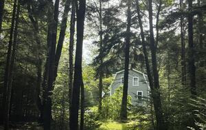 Modern Cottage on a Wooded Lot with Beach Access - New Harbor, Maine