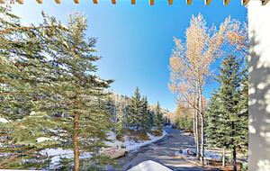 Remodeled Ski-In/Ski-Out Beaver Creek Family Escape - Beaver Creek, Colorado
