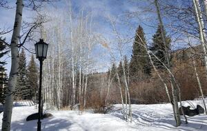 Remodeled Ski-In/Ski-Out Beaver Creek Family Escape - Beaver Creek, Colorado