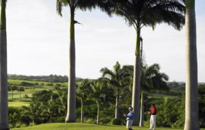 Royal Westmoreland Palm Villa on 17th Tee - Holetown, Barbados