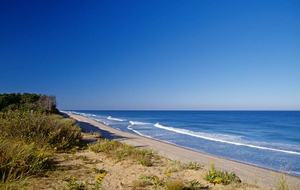 Cape Cod Seclusion - Truro, Massachusetts