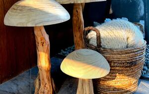 Mid-Modern-Century "Mr. (aka:Modern Renaissance)" in Iowa City - Iowa City, Iowa