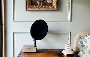 Mid-Modern-Century "Mr. (aka:Modern Renaissance)" in Iowa City - Iowa City, Iowa