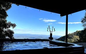 Tethys Mountain Retreat - Free Union, Virginia