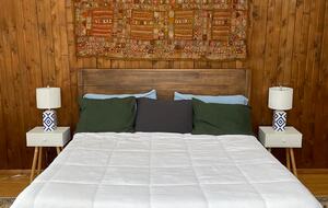 Tethys Mountain Retreat - Free Union, Virginia