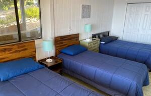 Tethys Mountain Retreat - Free Union, Virginia