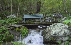 Tethys Mountain Retreat - Free Union, Virginia