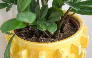 Goldie Point - Barnegat Light, New Jersey