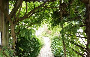 Goldie Point - Barnegat Light, New Jersey