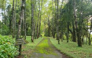 Kantue Lake House - Kantue, Villarrica, Chile