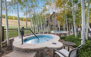 100 Bachelor Ridge in Bachelor Gulch/Beaver Creek- Two Bedroom Residence- Lift tickets included - Beaver Creek, Colorado