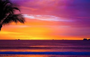 The Palms at Playa Flamingo - Playa Flamingo, Costa Rica