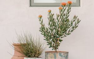 Four Feathers Farmhouse Villa - Montecito, California