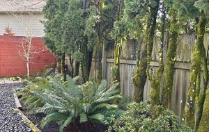 Charming Home Polk County - Dallas, Oregon